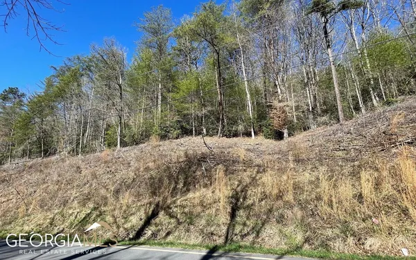 $47,500 | Lot 3 Fires Creek Road, Hayesville, NC 28904