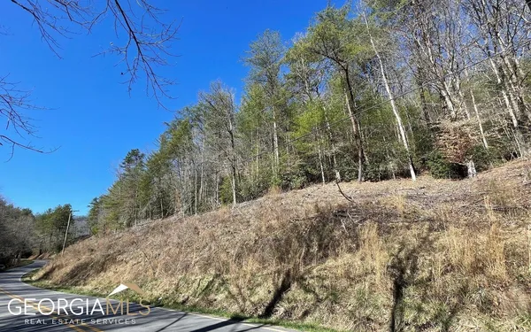 $47,500 | Lot 3 Fires Creek Road, Hayesville, NC 28904