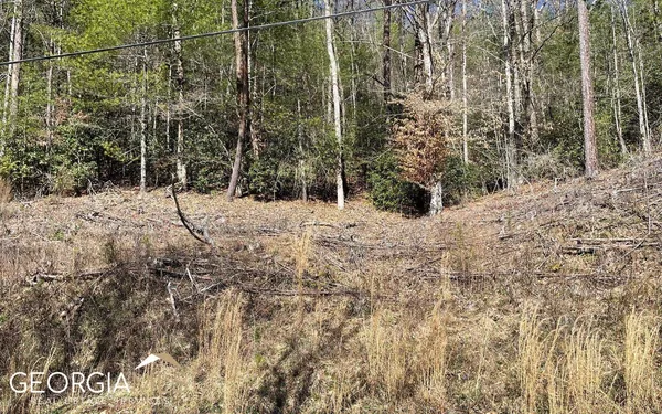 $47,500 | Lot 3 Fires Creek Road, Hayesville, NC 28904