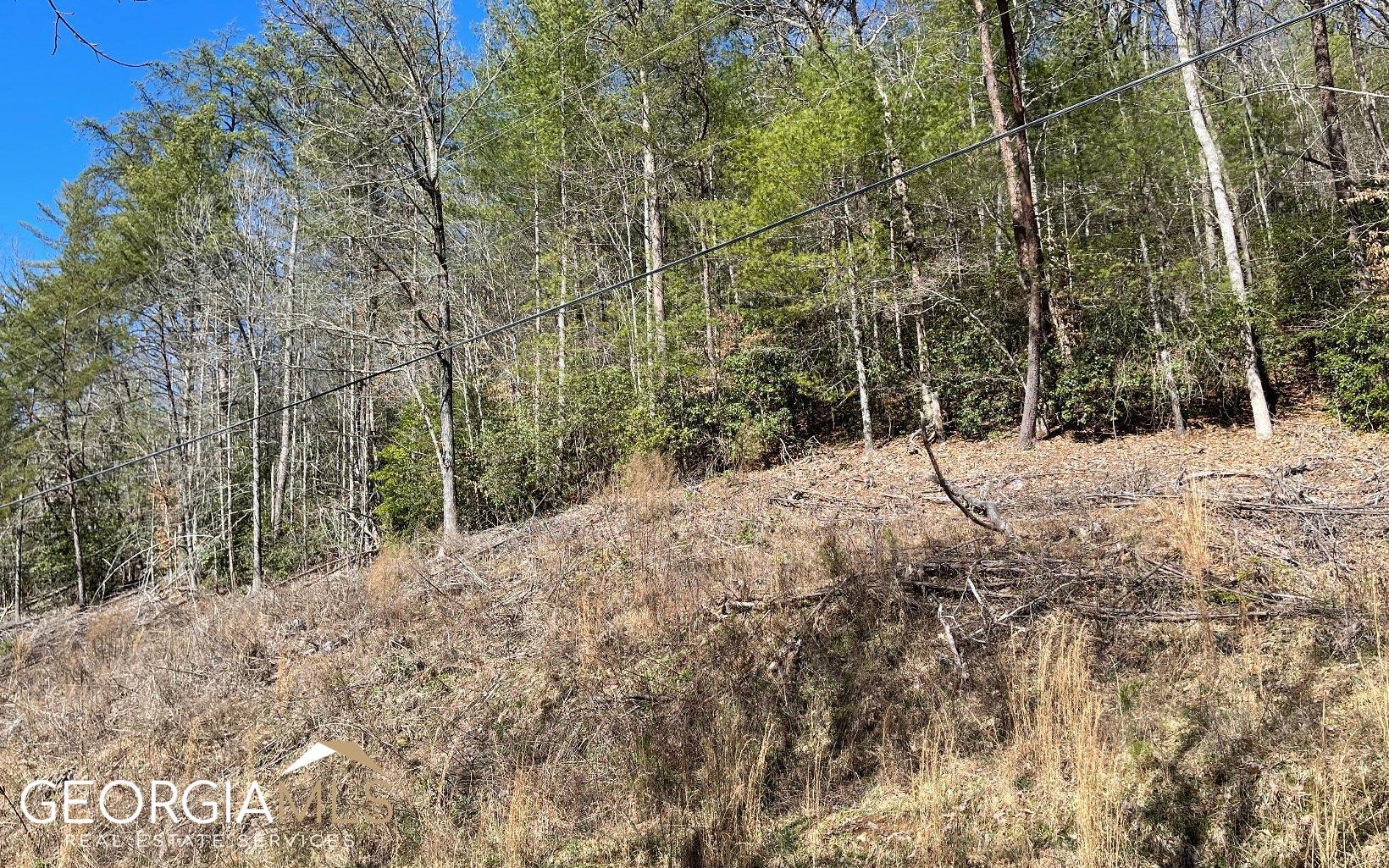 Lot 3 Fires Creek Road Hayesville, NC 28904 - Photo 28 of 29