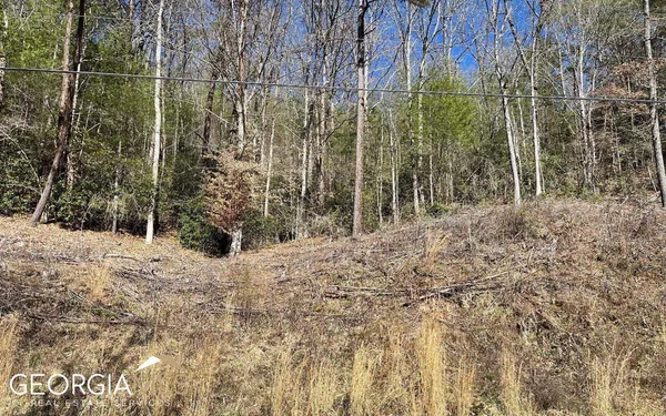 $47,500 | Lot 3 Fires Creek Road, Hayesville, NC 28904