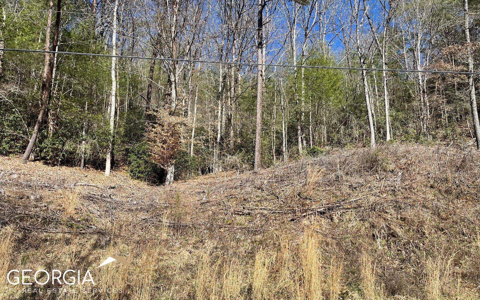 Lot 3 Fires Creek Road Hayesville, NC 28904 - Photo 29 of 29