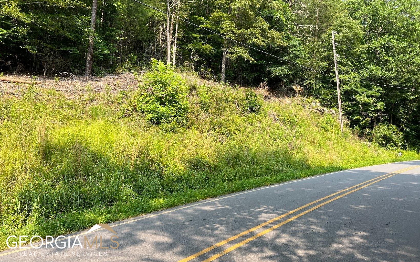 Lot 3 Fires Creek Road Hayesville, NC 28904 - Photo 3 of 29