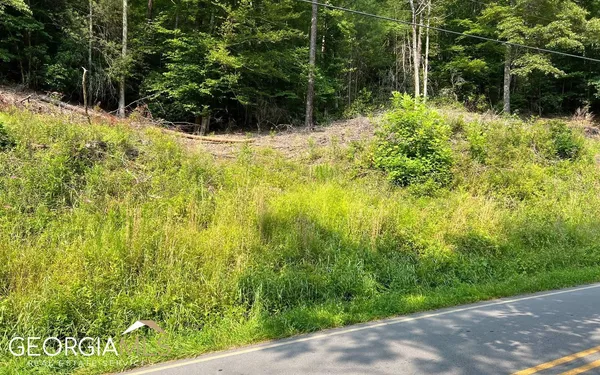 $47,500 | Lot 3 Fires Creek Road, Hayesville, NC 28904