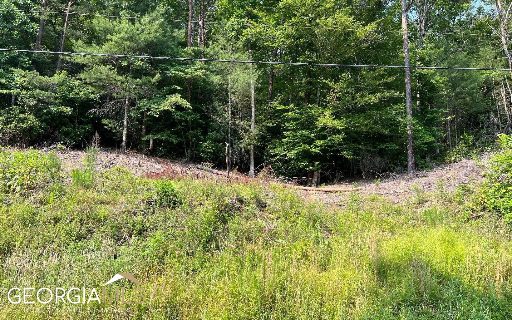 Lot 3 Fires Creek Road Hayesville, NC 28904 - Photo 5 of 29