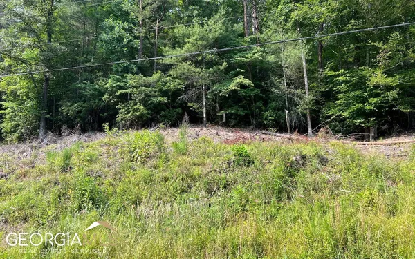 $47,500 | Lot 3 Fires Creek Road, Hayesville, NC 28904