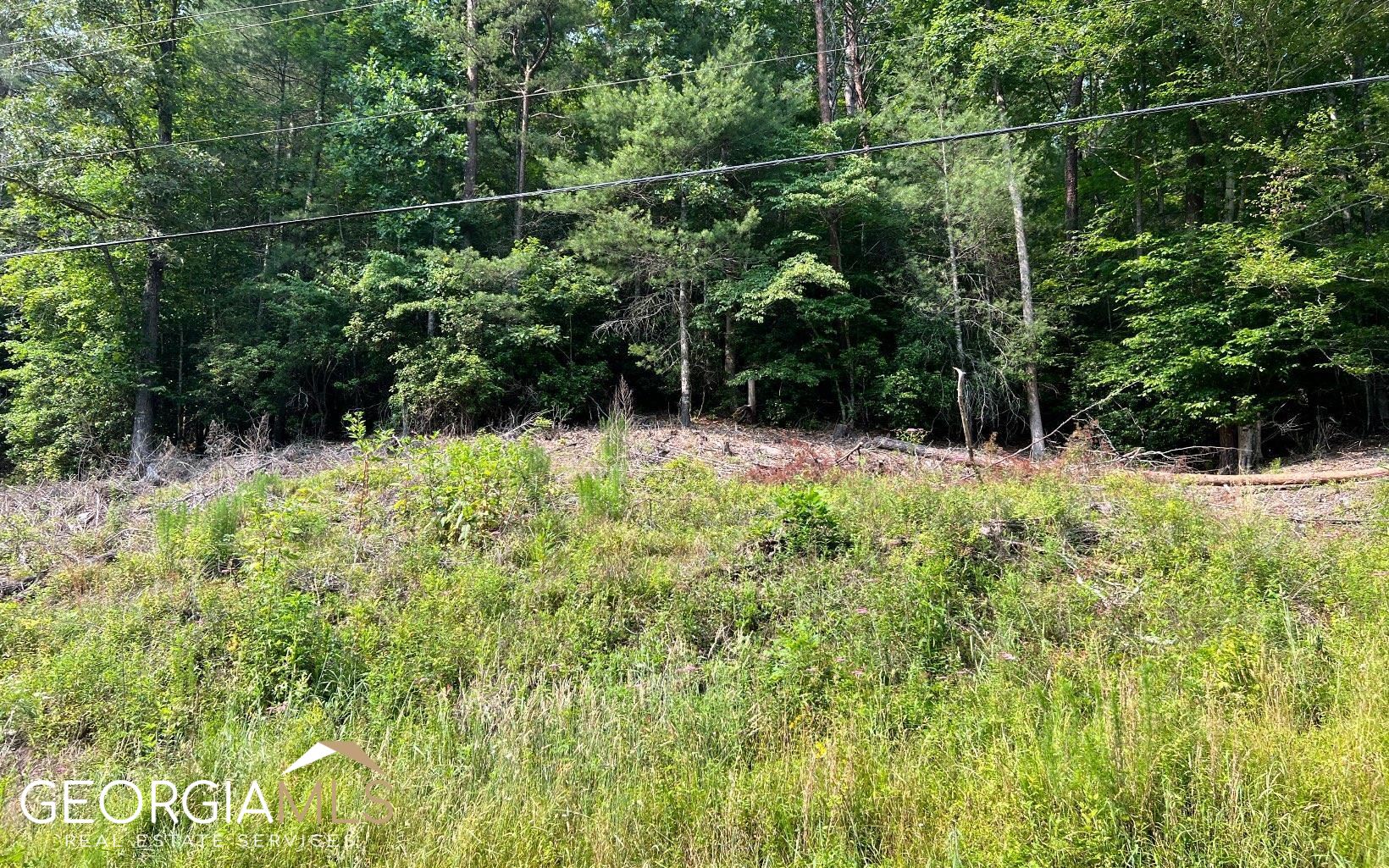 Lot 3 Fires Creek Road Hayesville, NC 28904 - Photo 6 of 29