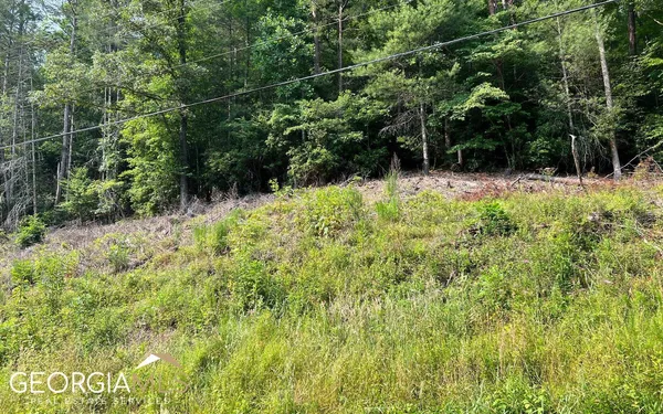 $47,500 | Lot 3 Fires Creek Road, Hayesville, NC 28904