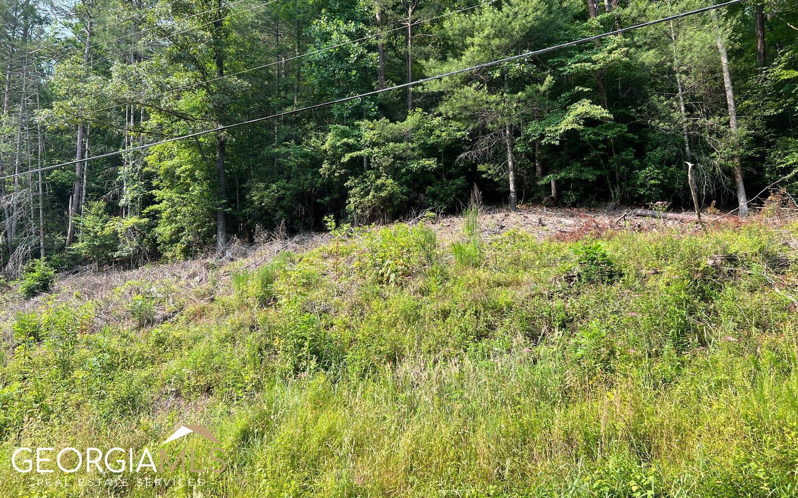 Lot 3 Fires Creek Road Hayesville, NC 28904 - Photo 7 of 29