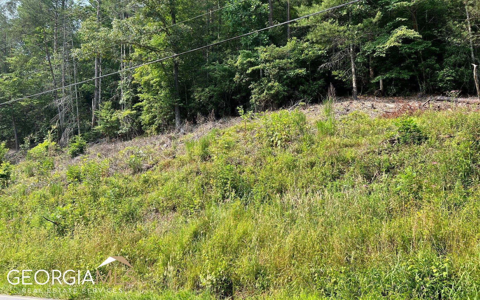 Lot 3 Fires Creek Road Hayesville, NC 28904 - Photo 8 of 29