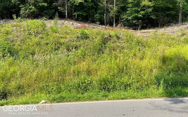 $47,500 | Lot 3 Fires Creek Road, Hayesville, NC 28904