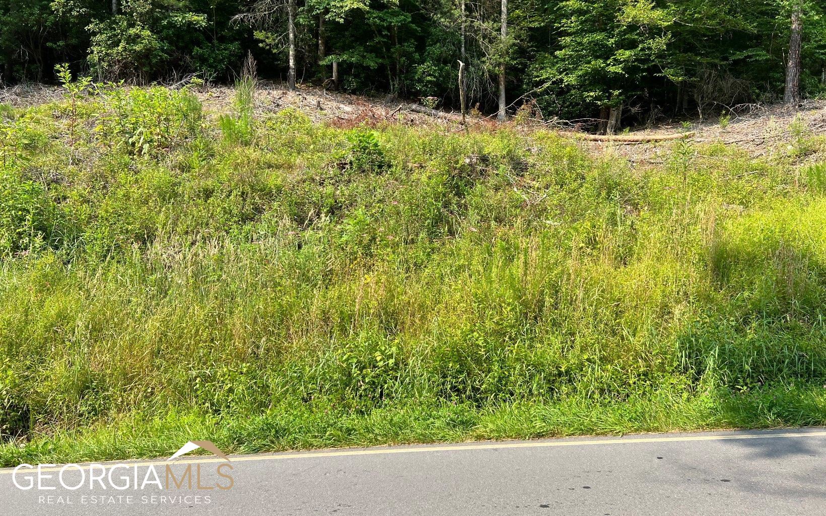 Lot 3 Fires Creek Road Hayesville, NC 28904 - Photo 9 of 29