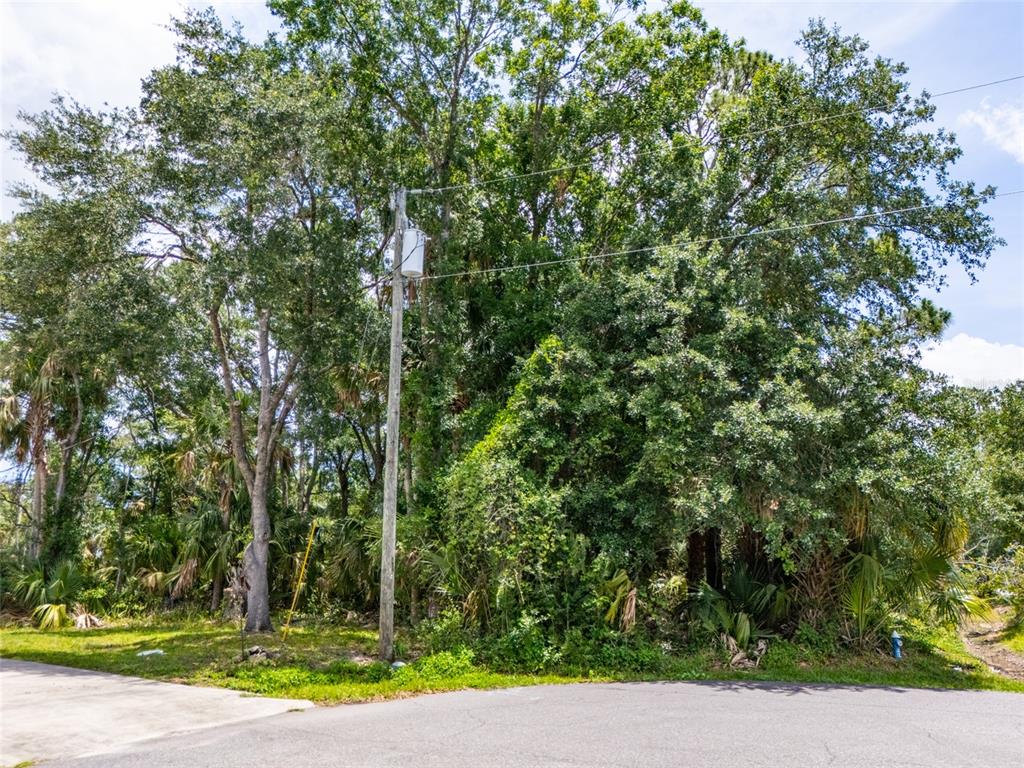 16 White Hawk Place Palm Coast, FL 32164 - Photo 15 of 22