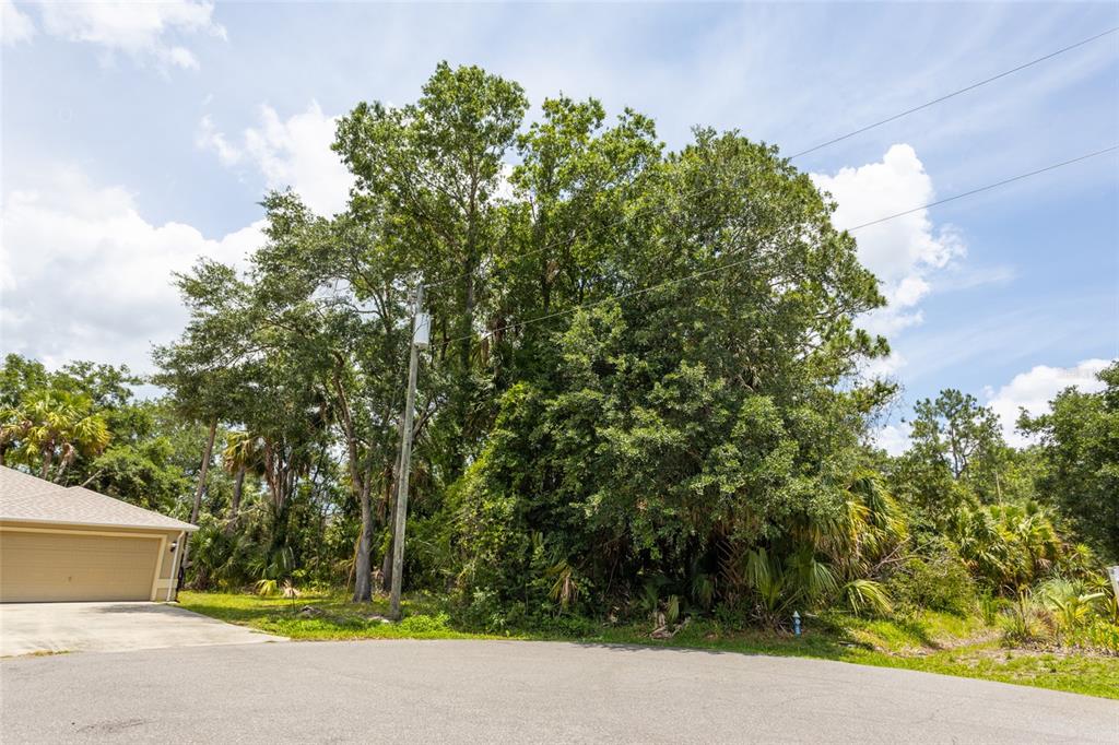 16 White Hawk Place Palm Coast, FL 32164 - Photo 5 of 22