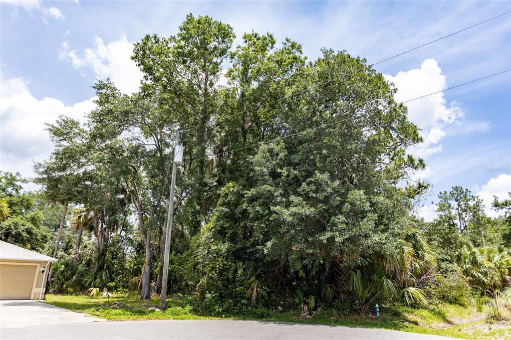 16 White Hawk Place Palm Coast, FL 32164 - Photo 6 of 22