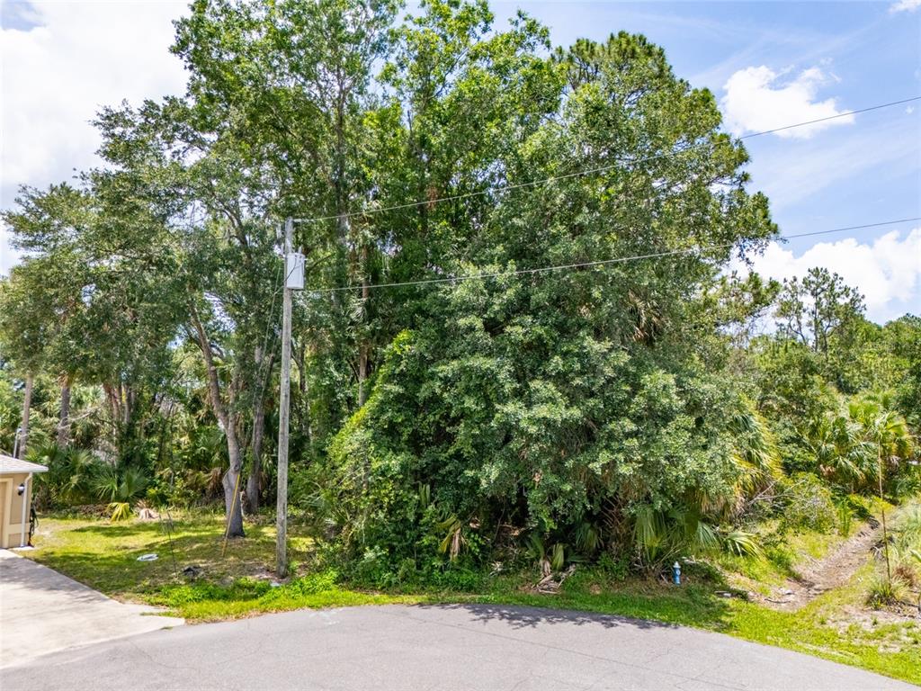 16 White Hawk Place Palm Coast, FL 32164 - Photo 7 of 22