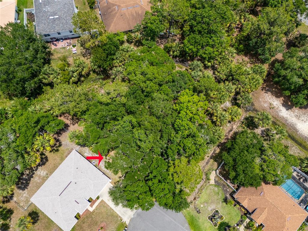 16 White Hawk Place Palm Coast, FL 32164 - Photo 10 of 22