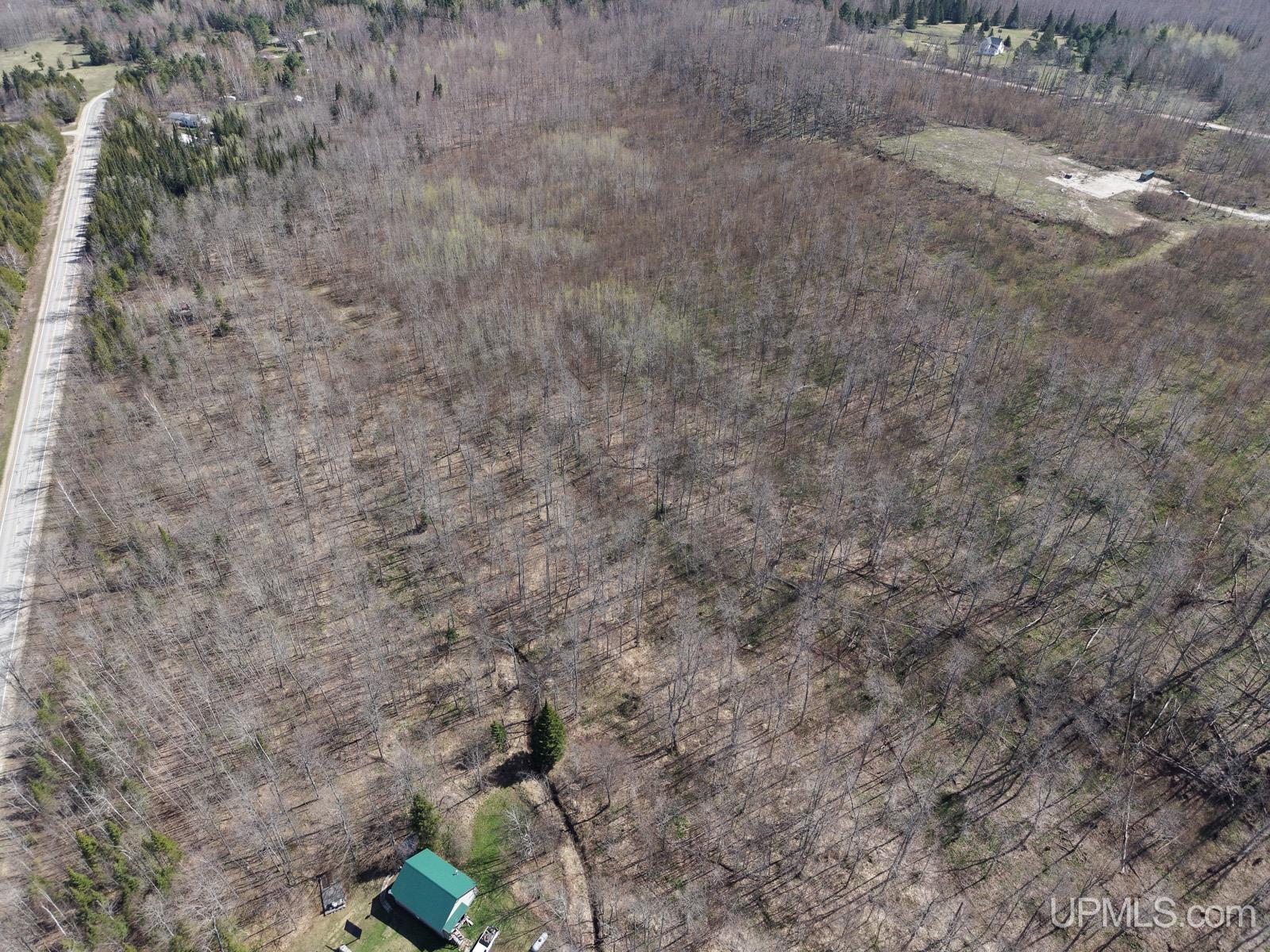 2493 Letson Road Gulliver, MI 49840 - Photo 30 of 56