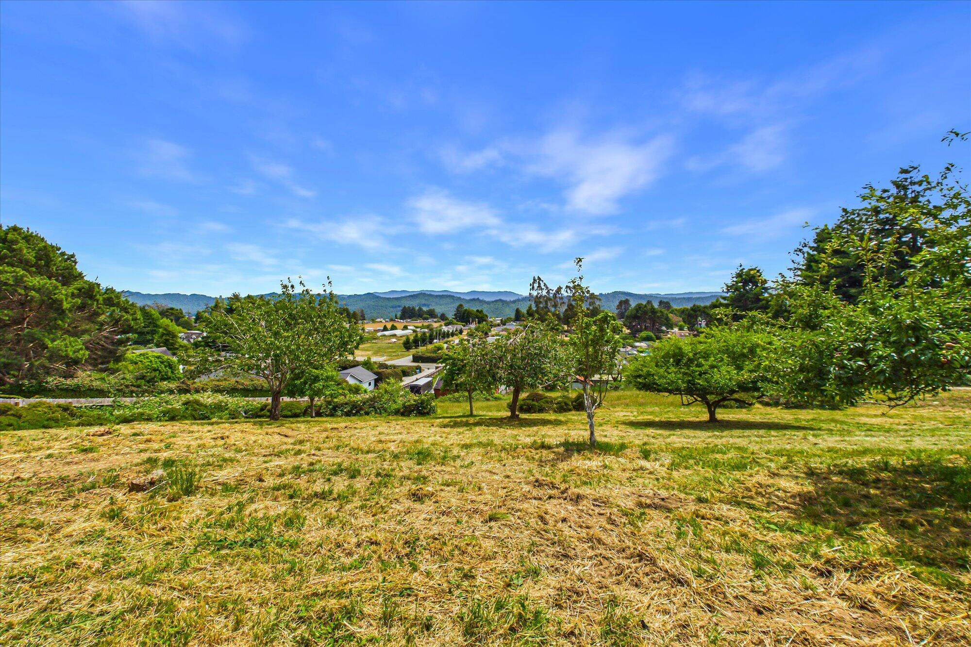 6705 Rohnerville Road Hydesville, CA 95547 - Photo 50 of 54