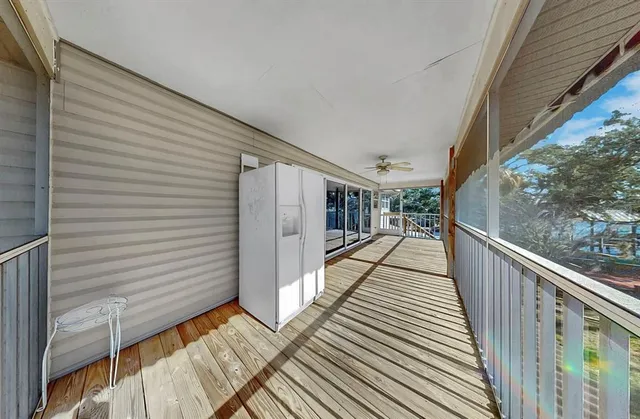 a view of a backyard with plants and large trees