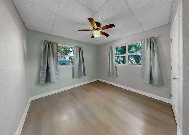 a view of a backyard with a large tree