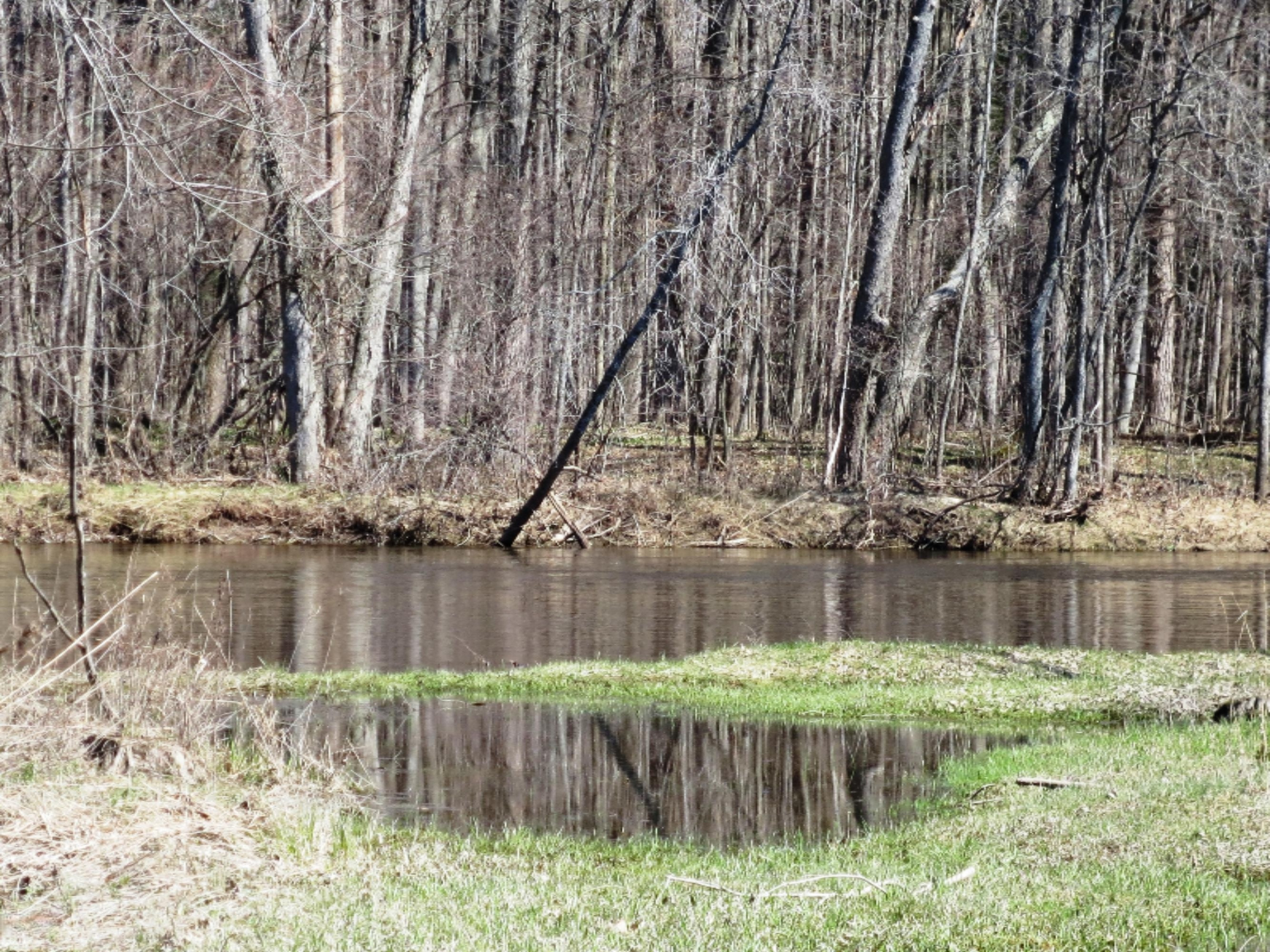 5120 Sandy Run Road Sears, MI 49679 - Photo 2 of 6 IMG_1266