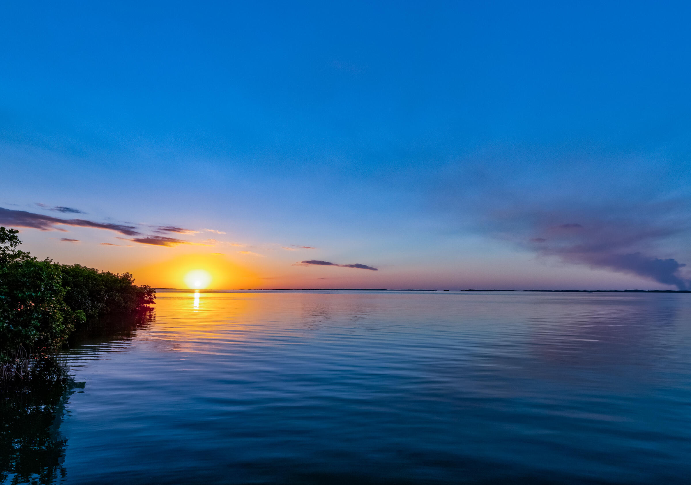 98222 Windward Avenue Key Largo, FL 33037 - Photo 20 of 41 a view of empty room with wooden floor and fan