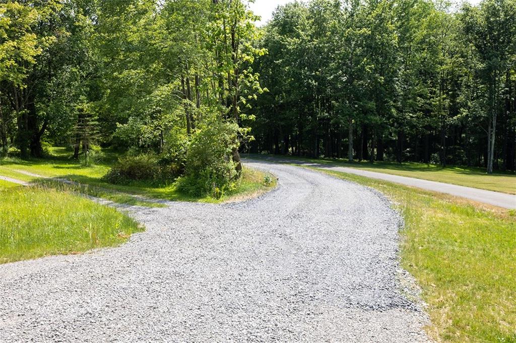 a view of a swimming pool with a yard and large trees