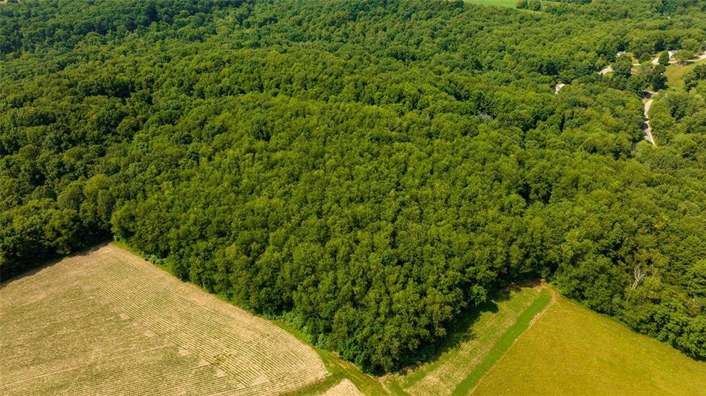 0 Stuckey Renfrew, PA 16053 - Photo 5 of 7 a view of a backyard of the house