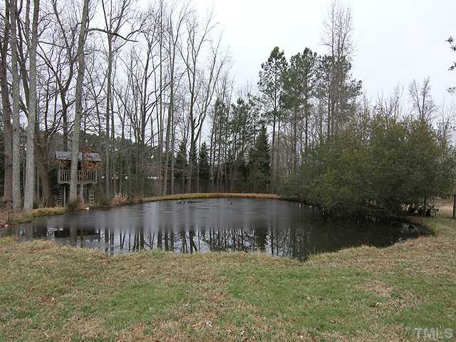 3511 Carpenter Pond Road Durham, NC 27703 - Photo 21 of 25 Does it Get Much Better Than This?! Your Own Private Pond with Treehouse!