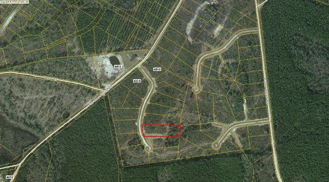 Lot 22 Daniel Road Waynesville, GA 31566 - Photo 1 of 1 Gallery Image 1