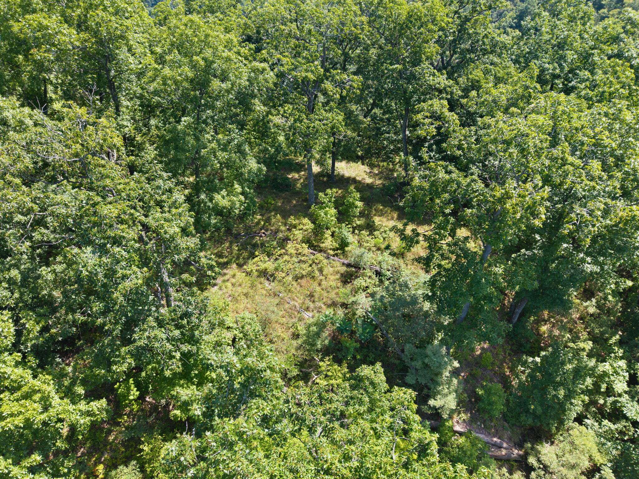 0 Bill Dee Br Road Kite, KY 41828 - Photo 9 of 45 41-web-or-mls-DJI_20260825124132_0756_D