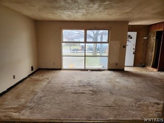 249 French Road Cheektowaga, NY 14043 - Photo 21 of 27 living room