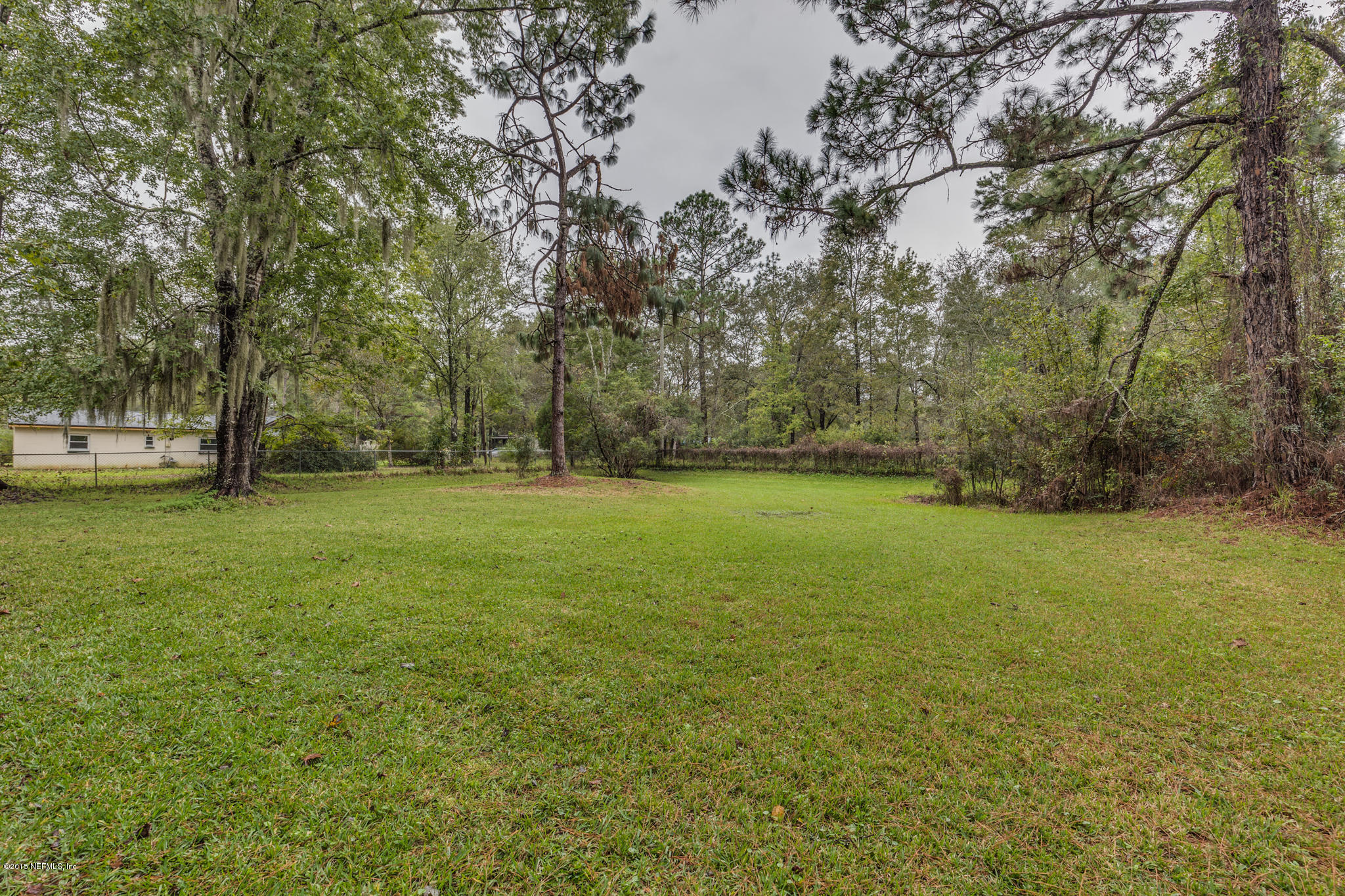 8448 Feldman Road Jacksonville, FL 32244 - Photo 22 of 22 Another view of the Yard