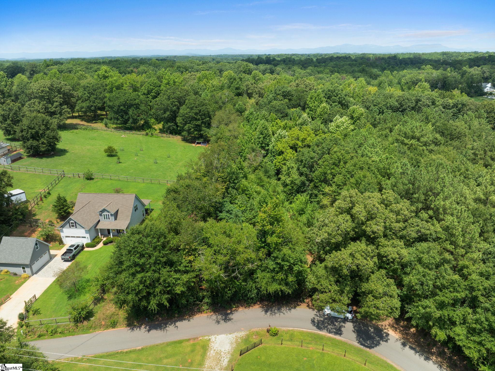 2 Old Batson Road Taylors, SC 29687 - Photo 16 of 17 Gallery Image 16