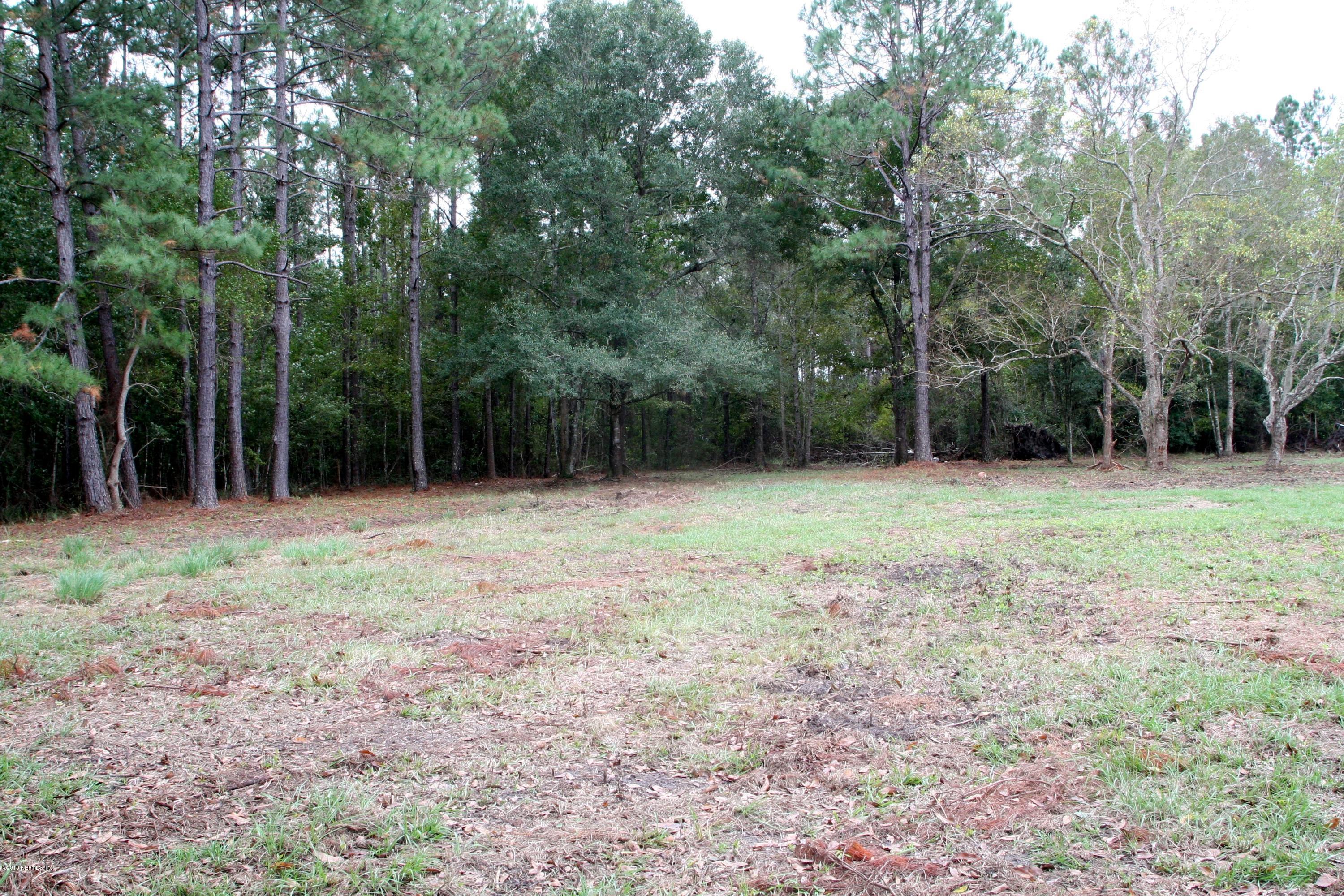 45306 Bismark Road Callahan, FL 32011 - Photo 1 of 6 a backyard of a house with lots of green space
