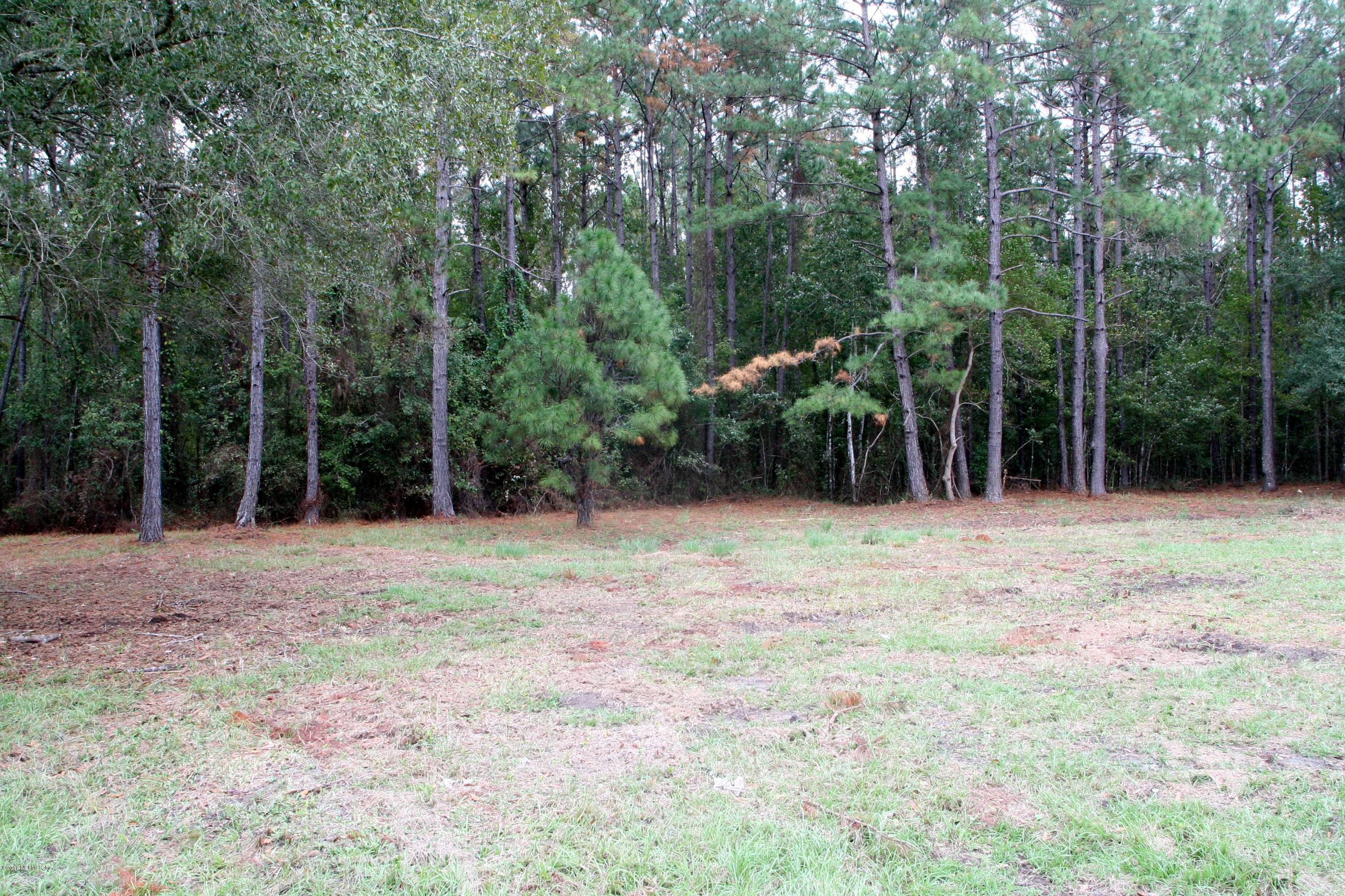 45306 Bismark Road Callahan, FL 32011 - Photo 3 of 6 a view of backyard with green space
