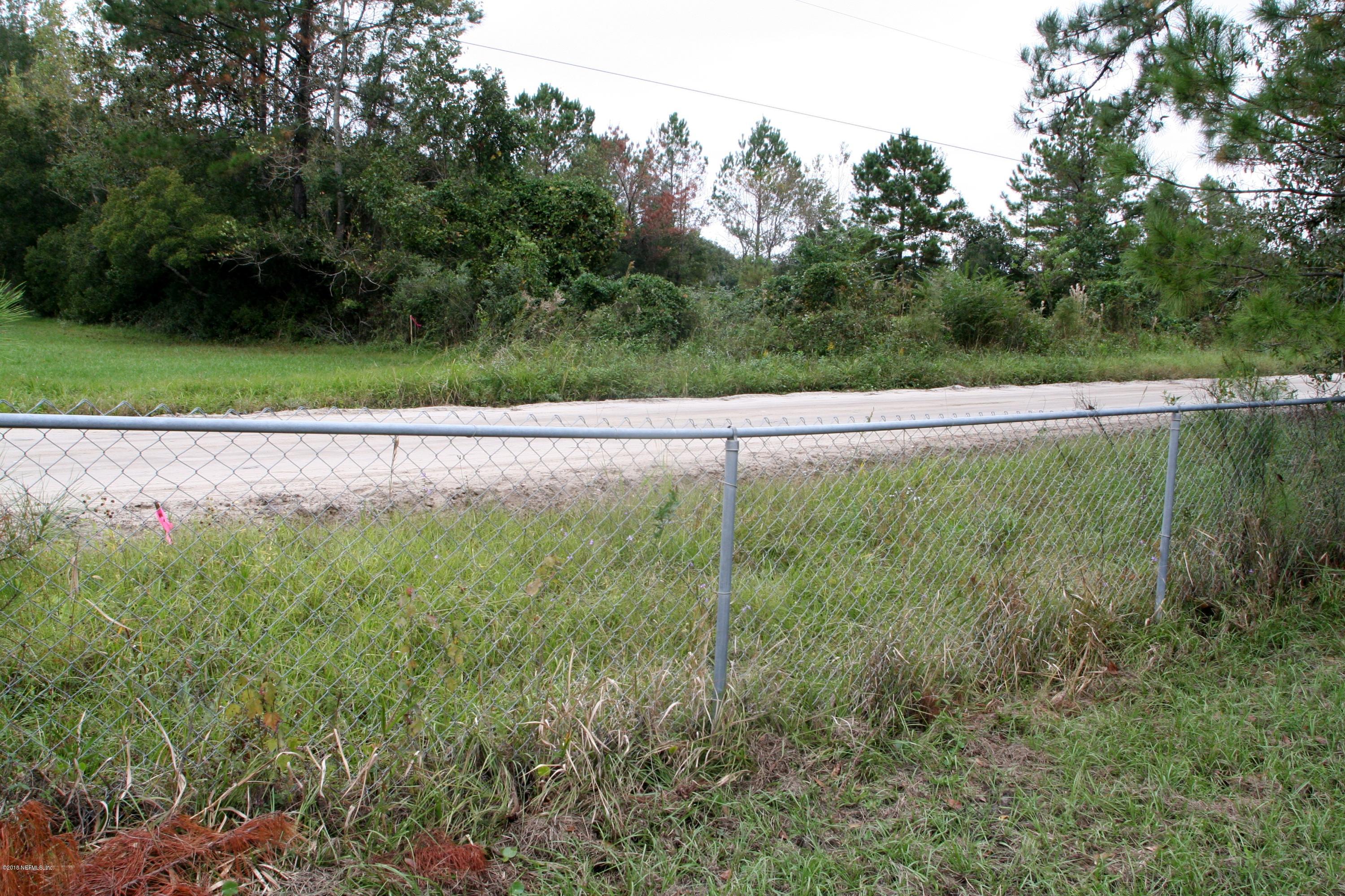 45306 Bismark Road Callahan, FL 32011 - Photo 5 of 6 a view of a lush green forest with lots of tall trees