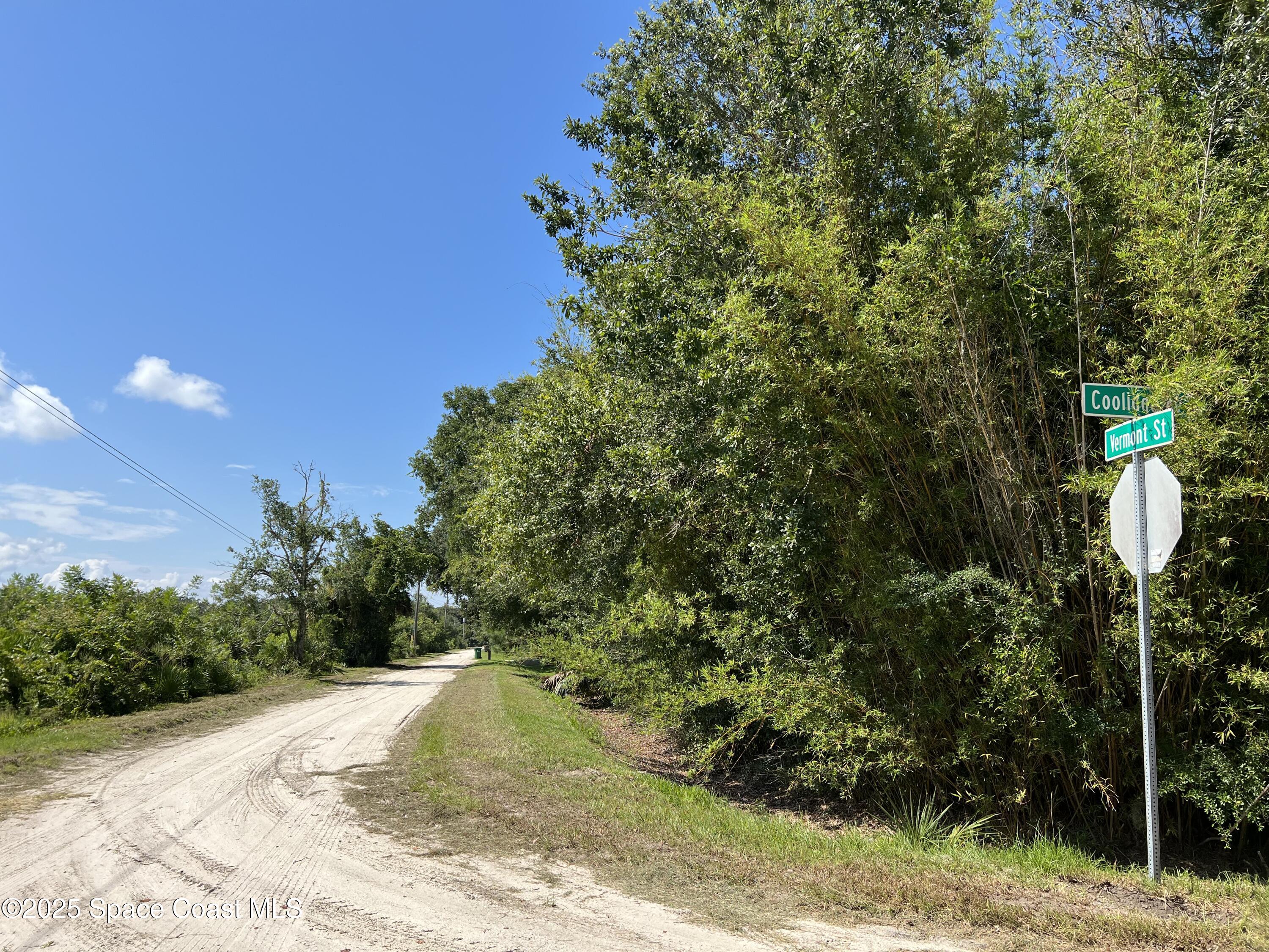 0 Vermont Street Mims, FL 32754 - Photo 13 of 15 IMG_0414