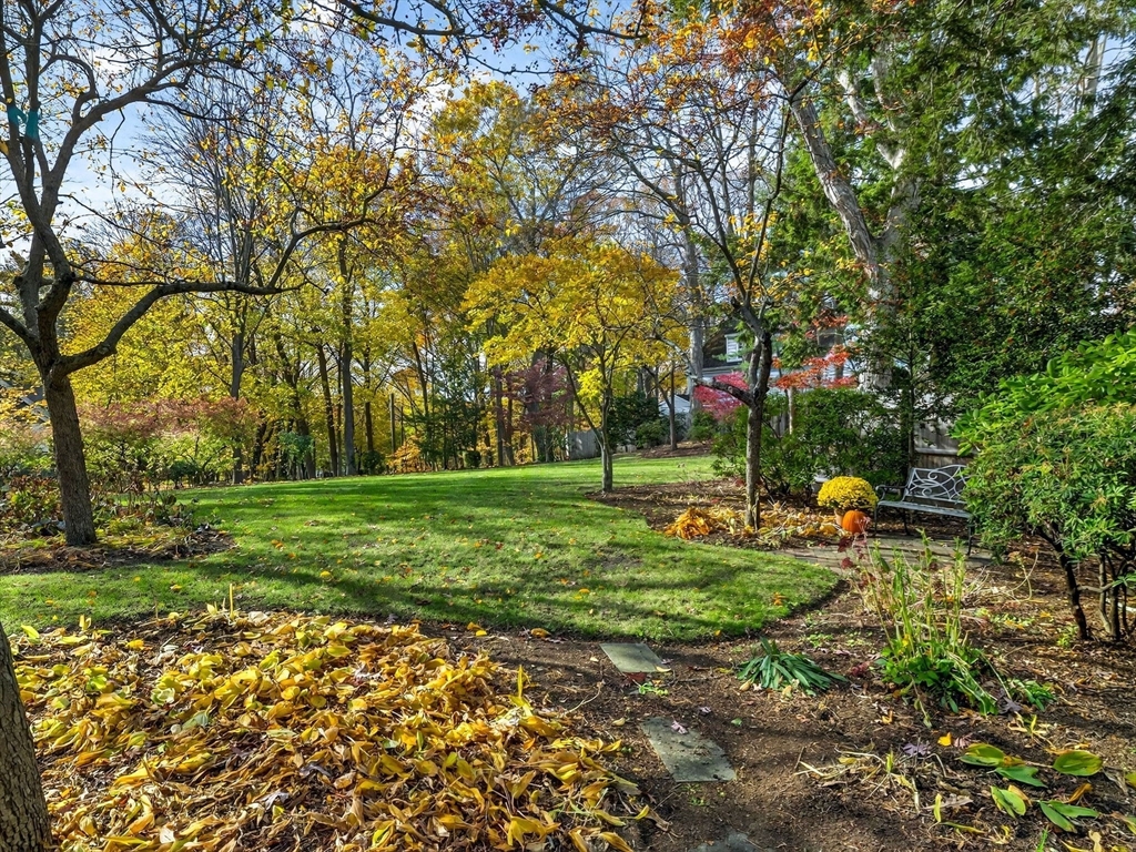 32 Donizetti Street Wellesley, MA 02482 - Photo 3 of 22 a view of a park with large trees