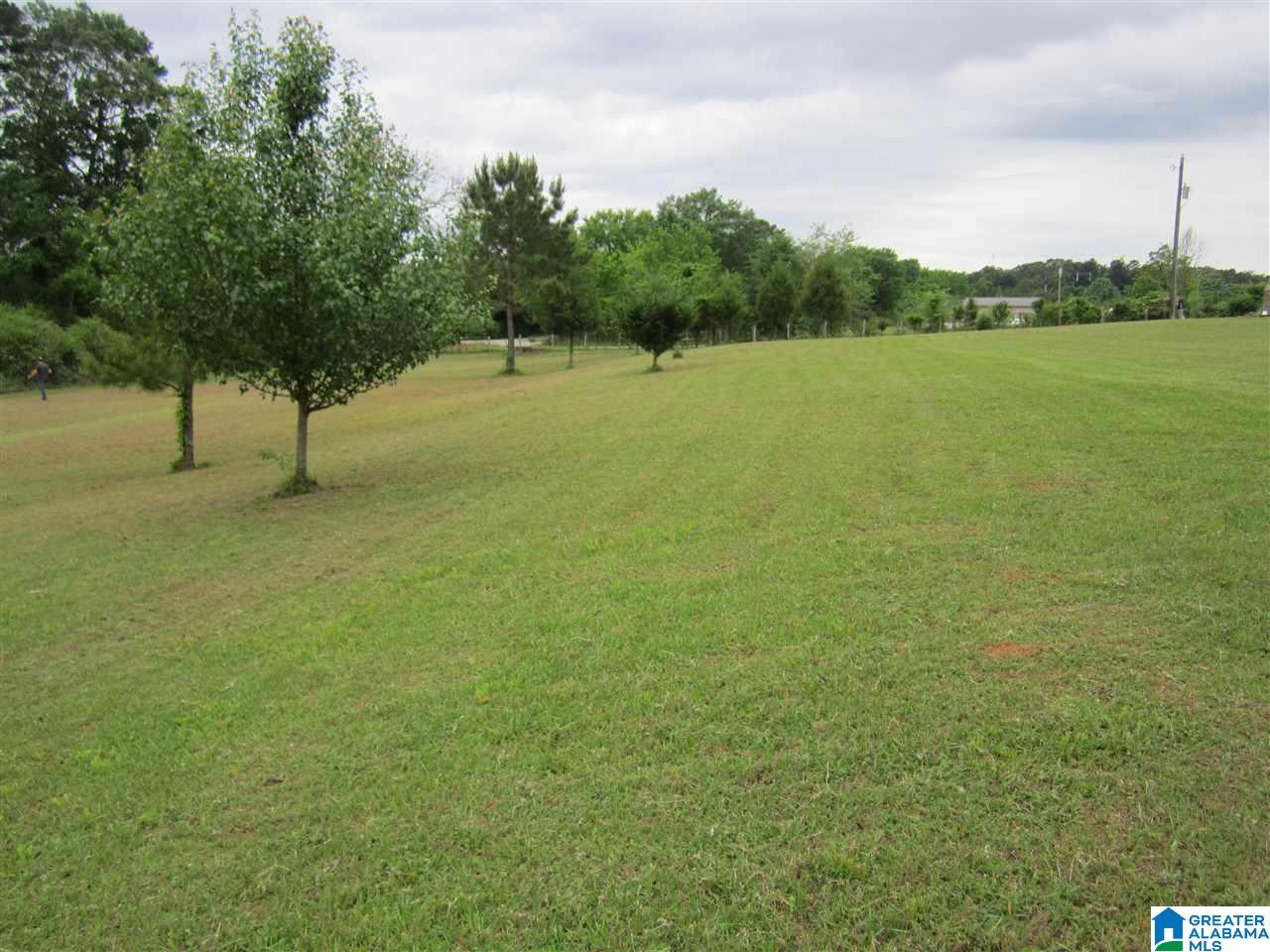 62 Countryside Lane Lincoln, AL 35096 - Photo 46 of 50