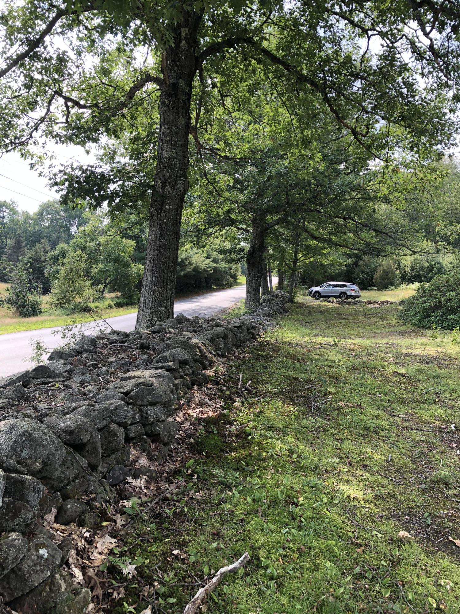 202 Plaisted Road Jay, ME 04239 - Photo 13 of 16 Rock wall