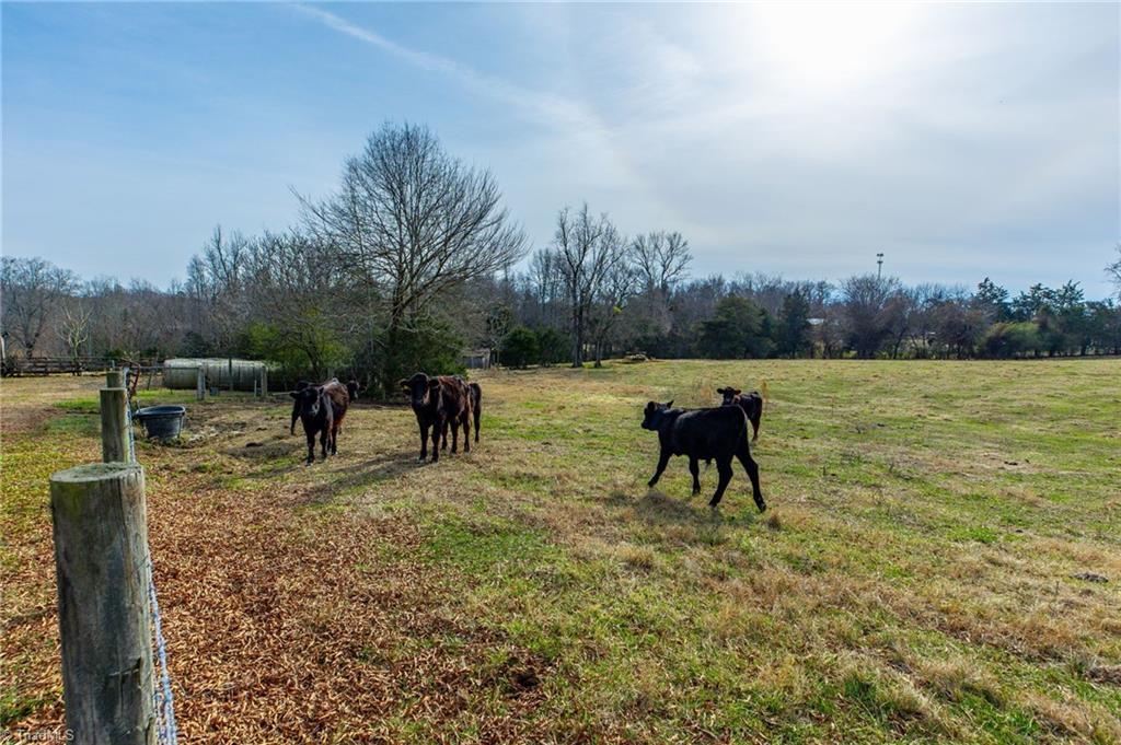6405 Alamance County Line Road Liberty, NC 27298 - Photo 24 of 27 Gallery Image 24