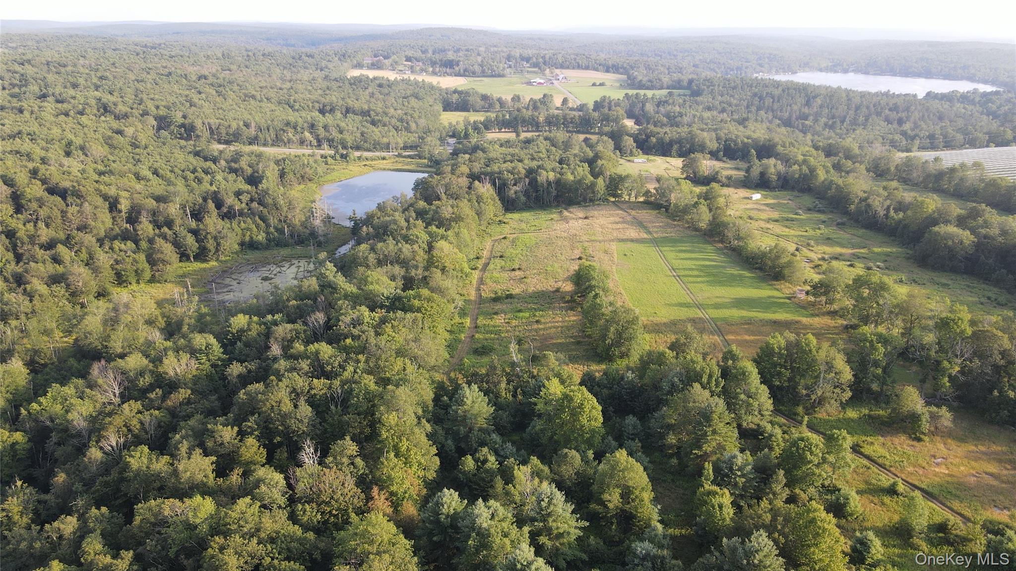 150 Sackett Lake Road Monticello, NY 12701 - Photo 5 of 10 an aerial view of residential houses with outdoor space and trees