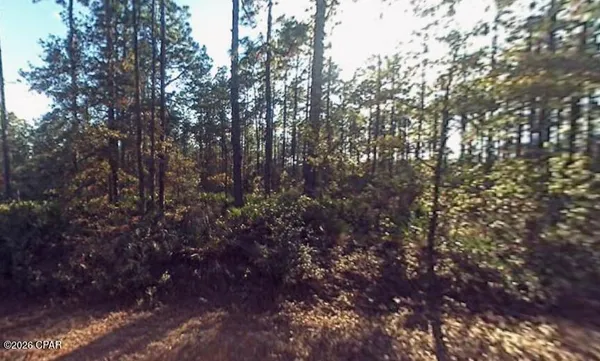 $8,000 | 0 Hibiscus Street, Fountain, FL 32438