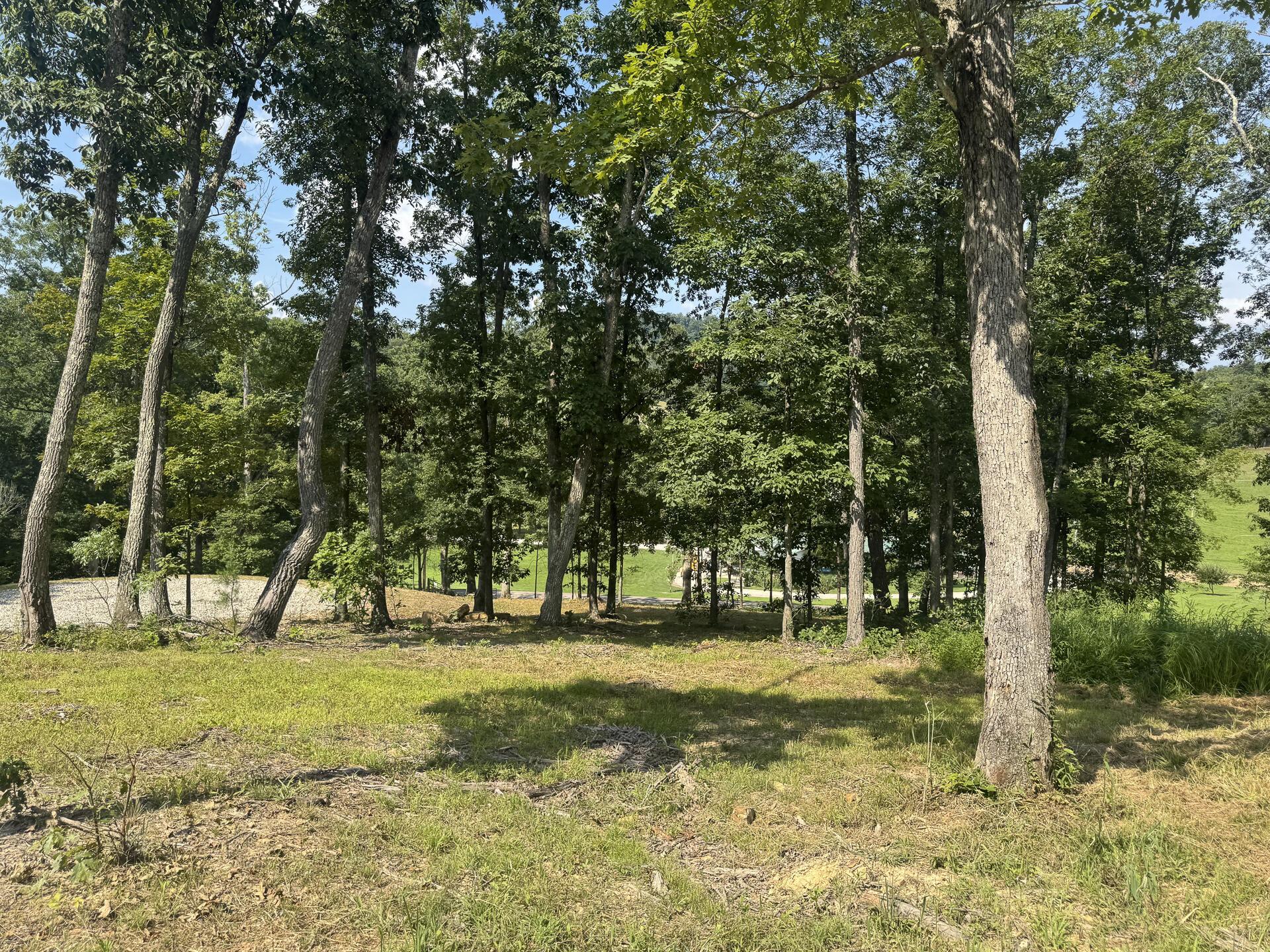 56 Golf Course Road, Unit TRACT 14 SKYLINEACRES) Waverly, OH 45690 - Photo 35 of 51 CT-35