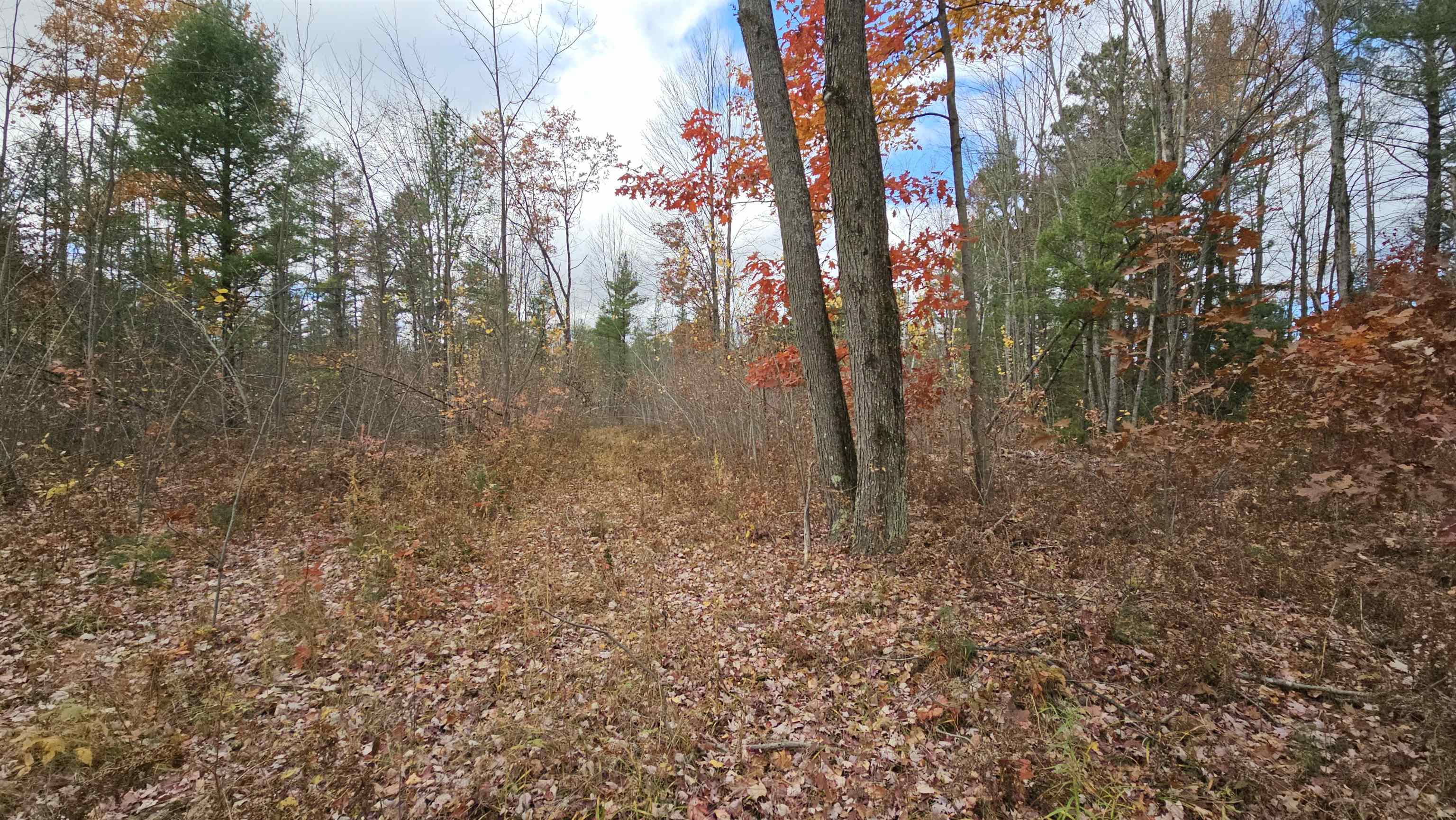 0 South Morrison Road West Branch, MI 48661 - Photo 6 of 9