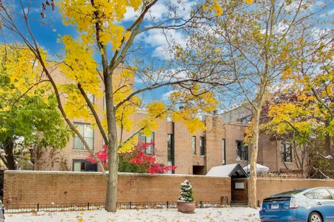 a street view with large trees