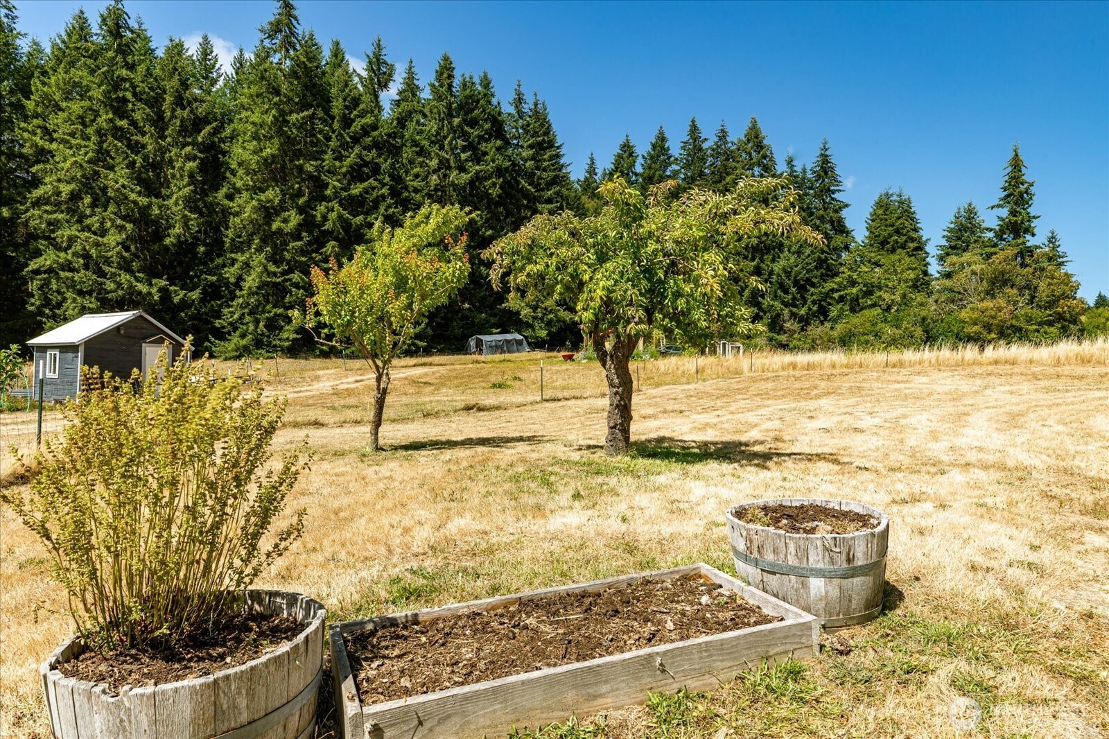 7380 Jewett Road Clinton, WA 98236 - Photo 4 of 34 Gallery Image 4