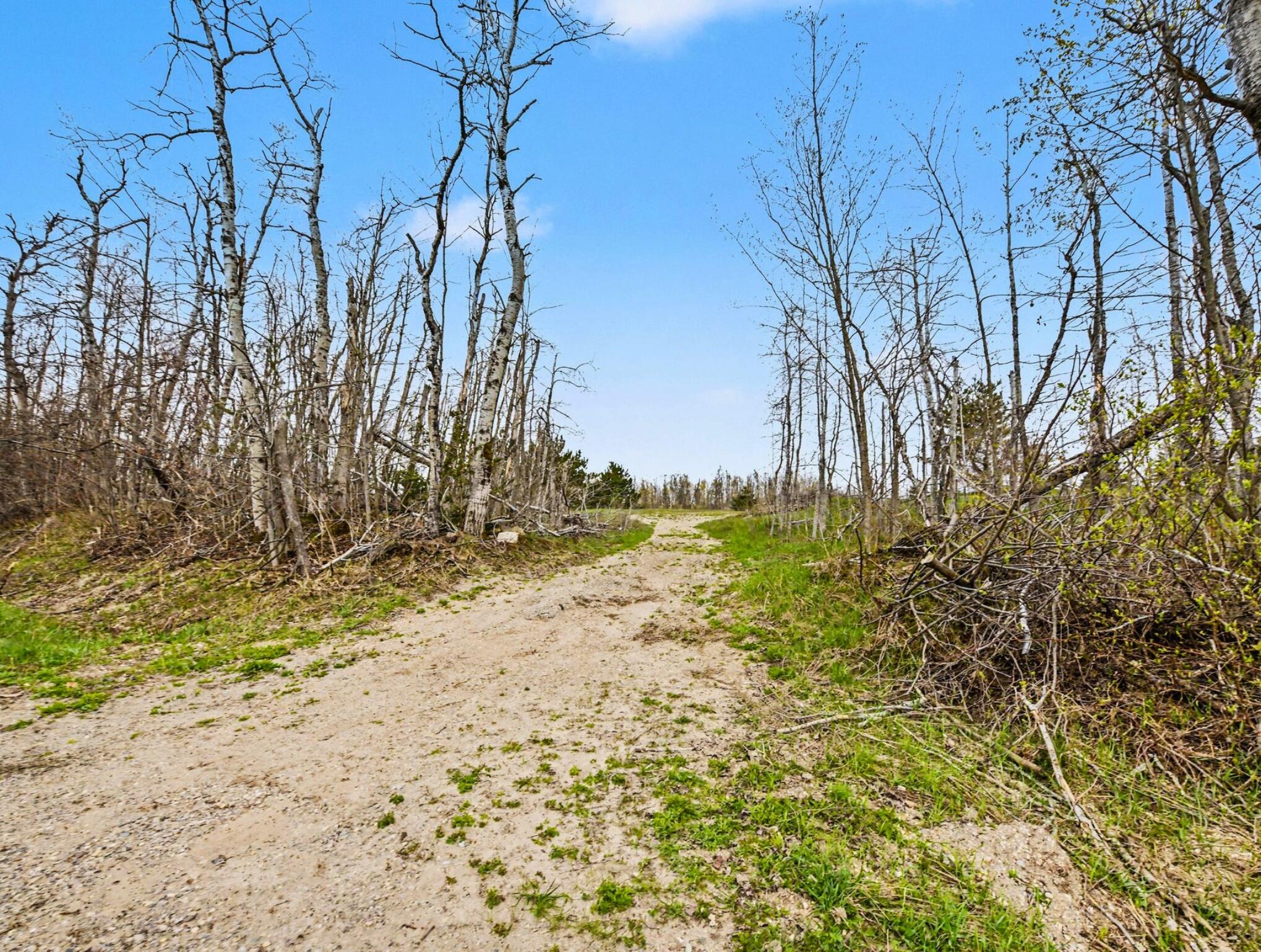 4056 North Ayr Road Alanson, MI 49706 - Photo 4 of 12 4 _ 4056 N Ayr Road